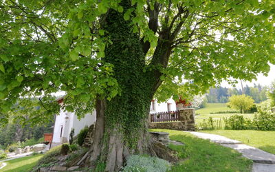 Lhotka
