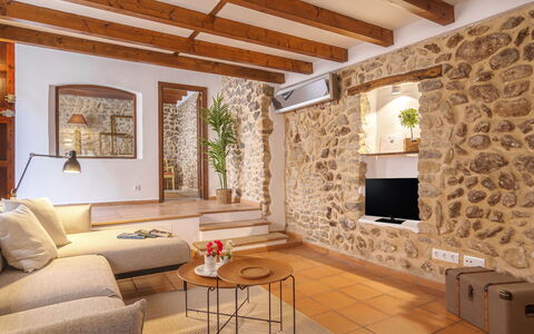 Biniarroi Charm & Quality: Furniture, Property, Table, Plant, Wood, Living Room, Interior Design, Floor, Houseplant, Flooring