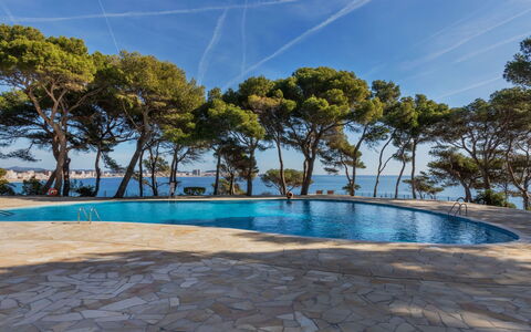 St Antoni de Calonge 250: Water, Sky, Cloud, Plant, Swimming Pool, Tree, Shade, Arecales, Leisure, Landscape
