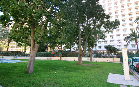 Waldorff: Tree, Public Space, Grass, Property, Lawn, Woody Plant, Plant, Urban Design, Park, Walkway