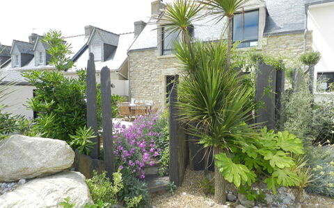 Le Ménez: Plant, Window, Plant Community, Building, Botany, House, Flower, Vegetation, Land Lot, Biome