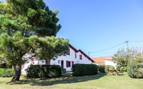 Amigorena: Property, House, Home, Real Estate, Tree, Sky, Residential Area, Neighbourhood, Land Lot, Building