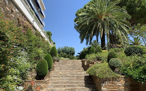 Cavalaire 279: Vegetation, Tree, Garden, Property, Palm Tree, Botany, Botanical Garden, Sky, Arecales, Plant