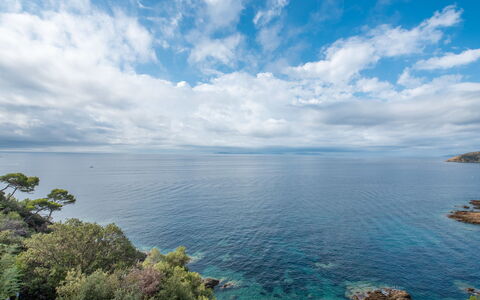 Le Grand Large: Cloud, Water, Sky, Water Resources, Natural Landscape, Tree, Vegetation, Coastal And Oceanic Landforms, Cumulus, Terrain