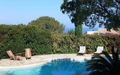 La Maison du Midi: Water, Plant, Sky, Property, Swimming Pool, Azure, Natural Landscape, Tree, Grass, Outdoor Furniture