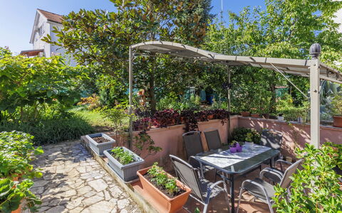 Ivanka: Plant, Property, Plant Community, Sky, Flowerpot, Shade, Vegetation, Outdoor Furniture, Landscape, Real Estate