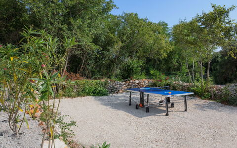 Chiara: Vegetation, Nature Reserve, Property, Natural Landscape, Table, Tree, Botany, Plant Community, Garden, Real Estate