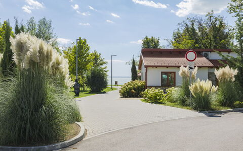 Piccola: Shrub, Garden, Driveway, Landscaping, Walkway, Shade, Suburb, Yard