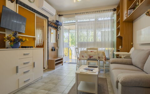 Piccola: Furniture, Interior Design, Flooring, Wood, Floor, Room, Apartment, Living Room, Couch, Lighting