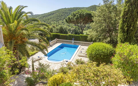 Venecia: Resort, Swimming Pool, Garden, Eco Hotel, Landscaping, Estate, Tropics, Villa, Resort Town