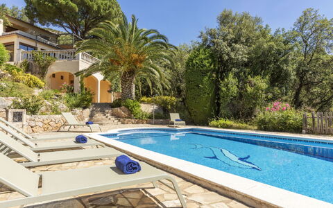 Venecia: Swimming Pool, Resort, Eco Hotel, Estate, Shade, Hacienda, Tropics, Villa, Landscaping, Flagstone