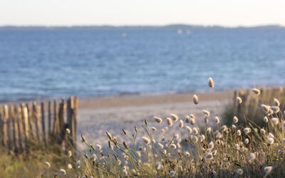 Les Terrasses de la Plage
