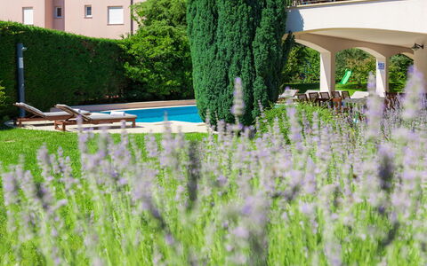 Carmen: Green, Grass, Lavender, Tree, Plant, Grass Family, Lawn, Garden, Shrub, Architecture