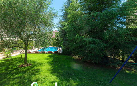 Carmen: Lawn, Grass, Tree, Green, Yard, Leaf, Land Lot, Plant, Grass Family, Woody Plant