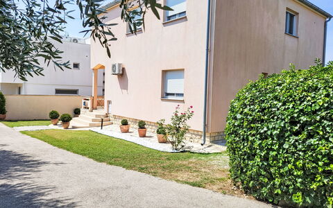 Ive: Plant, Building, Property, Sky, Window, Road Surface, Land Lot, Urban Design, Neighbourhood, Residential Area