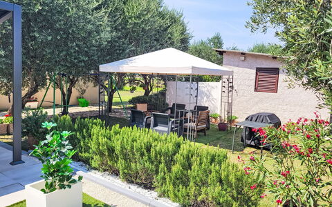 Ive: Plant, Property, Plant Community, Botany, Tree, Shade, Land Lot, Flower, Grass, Sky
