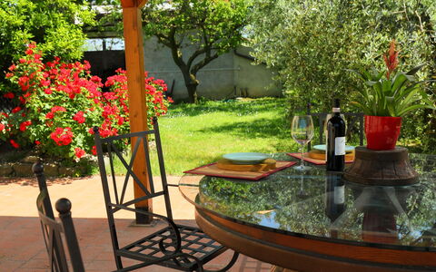 Cortona 190: Plant, Table, Furniture, Flower, Botany, Nature, Leaf, Tree, Bottle, Chair