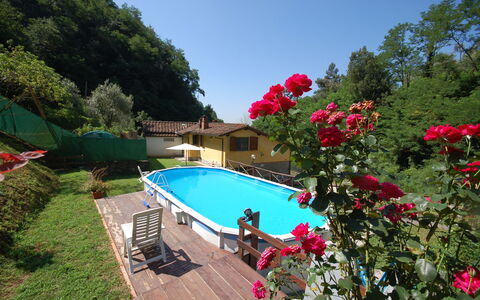 Casa Milena: Swimming Pool, Property, Botany, Flower, Leisure, Resort, Plant, Garden, Vacation, Villa