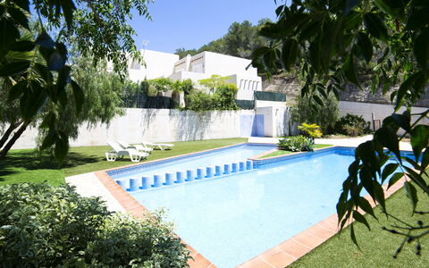 Una: Water, Plant, Property, Swimming Pool, Building, Tree, Azure, Sky, Shade, Arecales