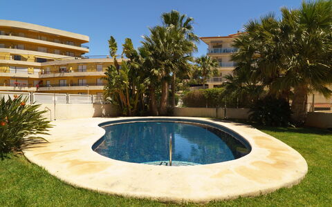 Sueno del Mar: Property, Swimming Pool, Grass, Real Estate, House, Architecture, Backyard, Water, Building, Home