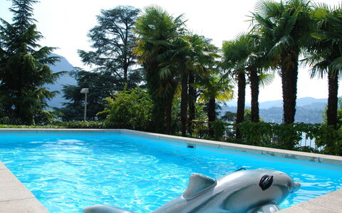 Vista Lago: Swimming Pool, Leisure, Vacation, Water, Summer, Tree, Resort, Real Estate