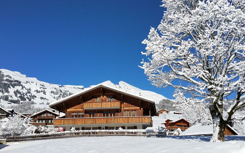 Grindelwald 570: Sky, Snow, Building, Mountain, House, Natural Landscape, Slope, Tree, Plant, Freezing