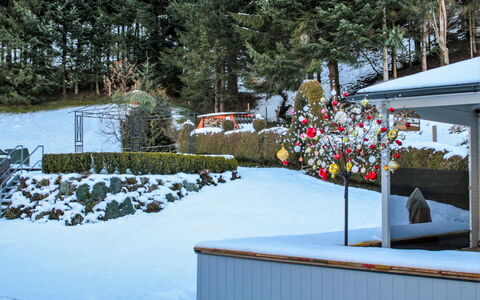 Poldi: Snow, Winter, Home, Tree, Backyard, Ice, House, Yard, Freezing, Plant
