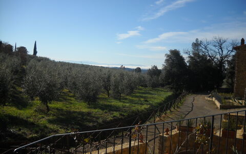 Casa Alla Minuccia Di Villa a Sesta: Sky, Wilderness, Tree, Spring, Cloud, Rural Area, Mountain, Hill, Landscape, River