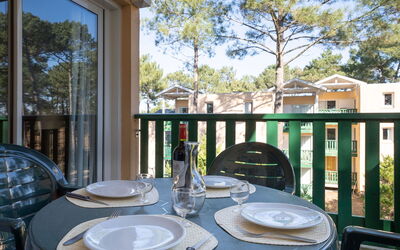 Accommodation:&nbsp;Les Grands Pins 250.2