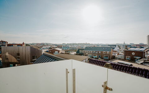 De Zeeparel: Composite Material, Daylighting, Plywood, Balcony