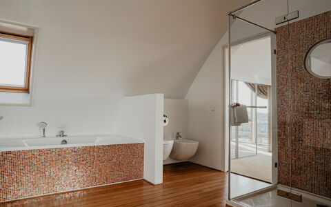 De Zeeparel: Flooring, Plumbing Fixture, Interior Design, Floor, Bathroom, Ceiling, Light Fixture, Lighting, Plumbing, Tap