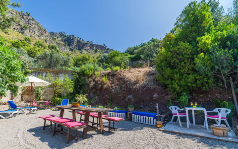 Cala Tuent: Vegetation, Nature Reserve, Tree, Wilderness, Public Space, Mountain, Tourism, Botany, Geological Phenomenon, Leisure