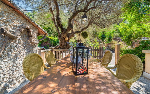 Cala Tuent: Tree, Property, Botany, Garden, Spring, Woody Plant, Walkway, Plant, Real Estate, House