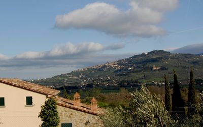 Panoramic view