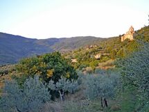 Panoramic view