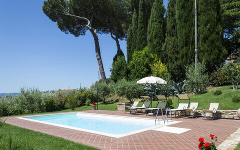 Villa Camelia: Property, Tree, Grass, Lawn, Real Estate, Landscape, Landscaping, Park, Garden, Architecture