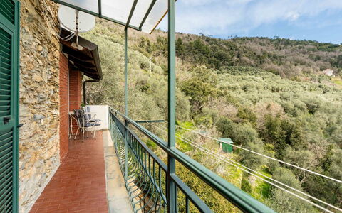Mes Mas: Metal, Balcony, Fence, Steel, Bicycle, Houseplant, Eco Hotel