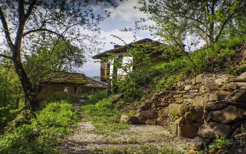 Karashka: Vegetation, Natural Landscape, Nature, Green, Tree, House, Wall, Stone Wall, Rural Area, Rock