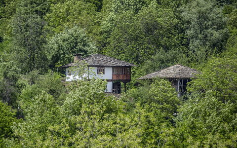 Karashka: Vegetation, Green, House, Property, Tree, Biome, Nature Reserve, Jungle, Cottage, Leaf