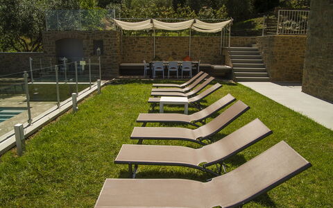 Villa Degli Ulivi: Grass, Lawn, Garden, Architecture, Botany, Backyard, Yard, House, Design, Landscaping