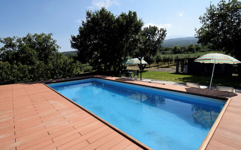 Serena: Swimming Pool, Property, Real Estate, Leisure, House, Home, Backyard, Grass, Tree, Building