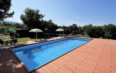 Serena: Swimming Pool, Property, Real Estate, House, Home, Leisure, Building, Estate, Backyard, Grass