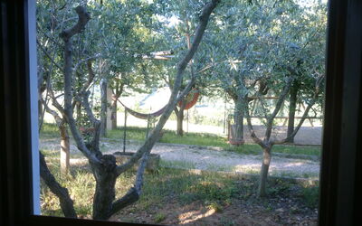 Accommodation:&nbsp;Bubo