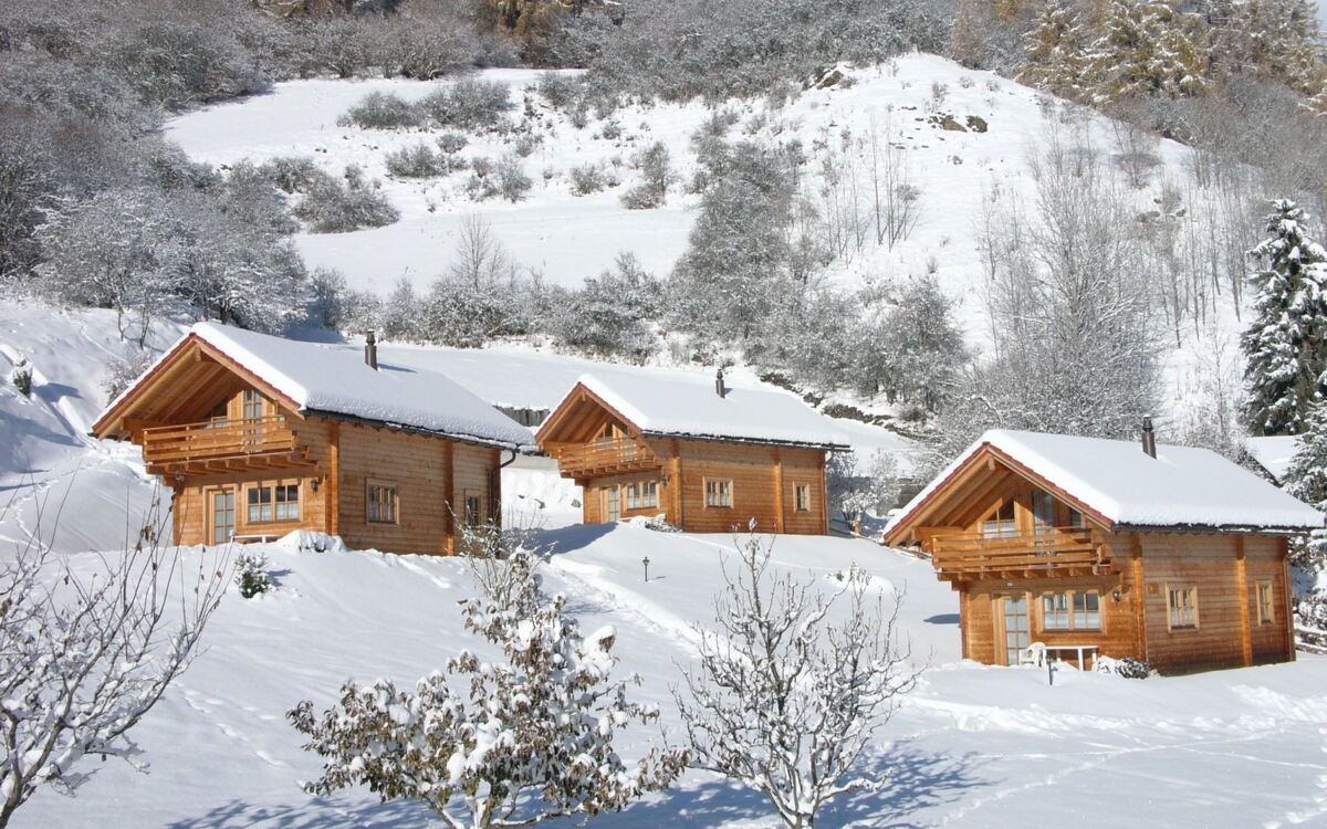 Ferienhaus Chalets Trafögl