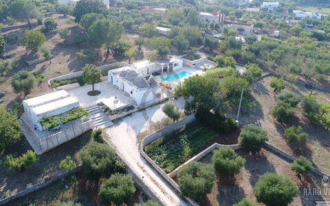 Trullo Oak: Plant, Daytime, Building, Tree, Urban Design, Land Lot, Neighbourhood, Residential Area, Landscape, Real Estate