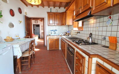 Accommodation:&nbsp;Glicine
