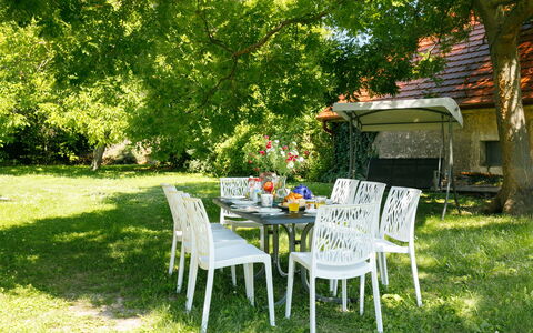 Golf Tee: Plant, Furniture, Table, Chair, Natural Landscape, Outdoor Furniture, Tree, Shade, Outdoor Table, Grass