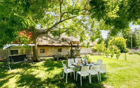 Golf Tee: Plant, Furniture, Building, Table, Tree, Natural Landscape, Chair, Sunlight, Shade, Grass