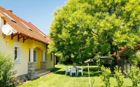 Golf Tee: Plant, Building, Sky, Window, Green, Tree, Natural Landscape, Land Lot, House, Shade
