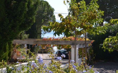 Llançà 381: Bridge, Tree, Garden, Botany, Plant, Spring, Shrub, House, Flower, Rural Area